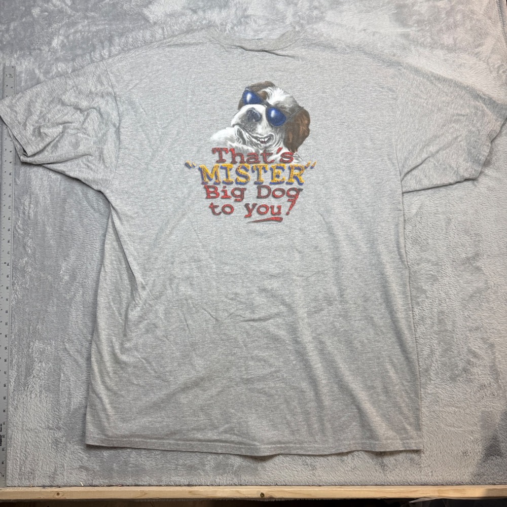 Vintage Big Dogs Graphic T Shirt Mens XL Gray Distressed Faded Mister 90s